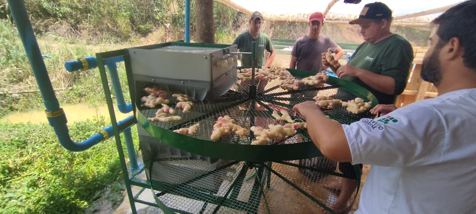 patente verde itapina 1