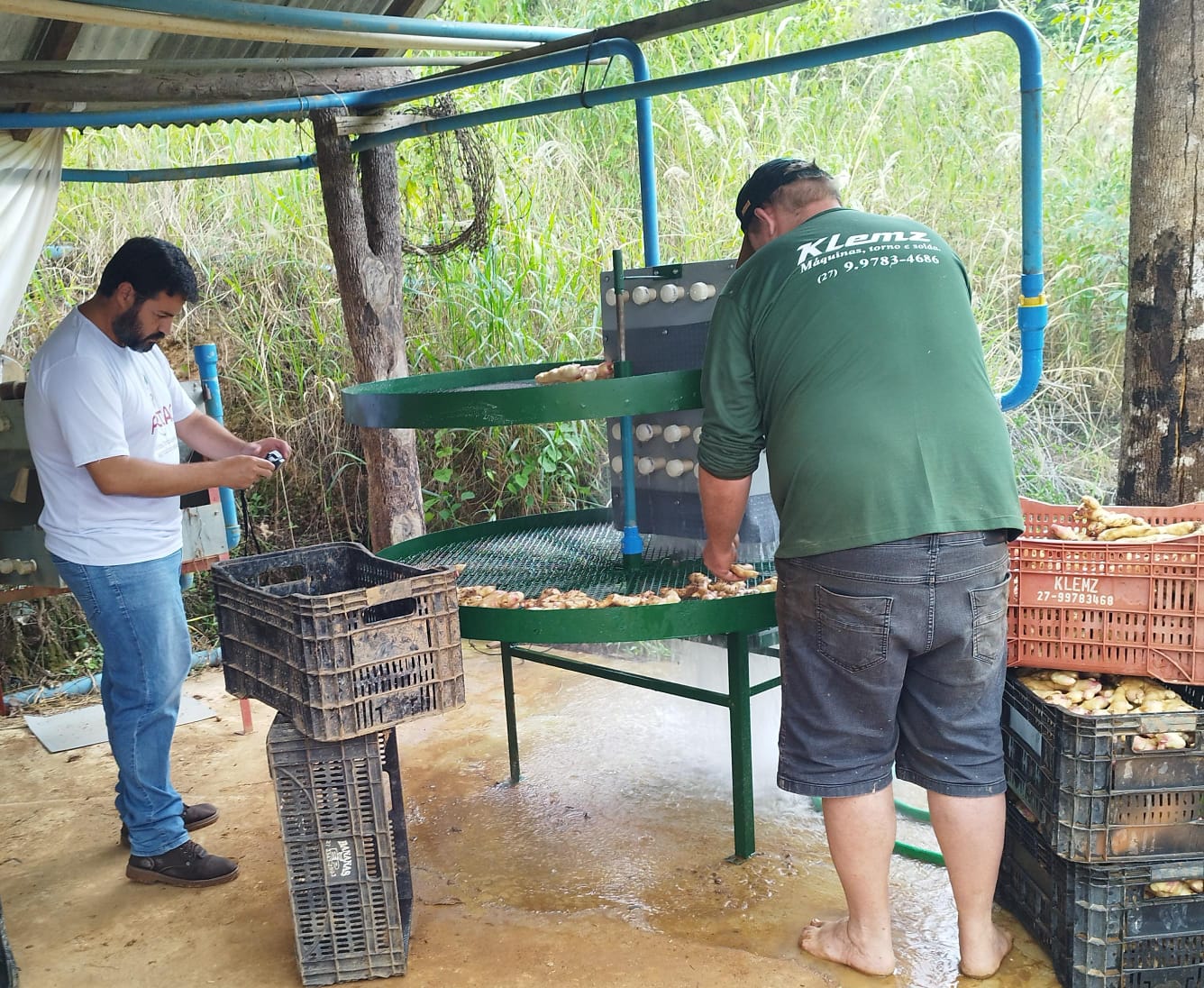 patente verde itapina 2